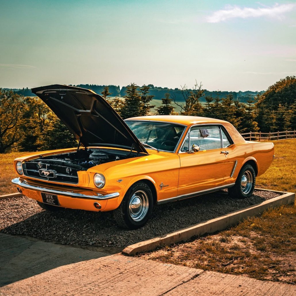 PISTONS & RINGS FORD MEET