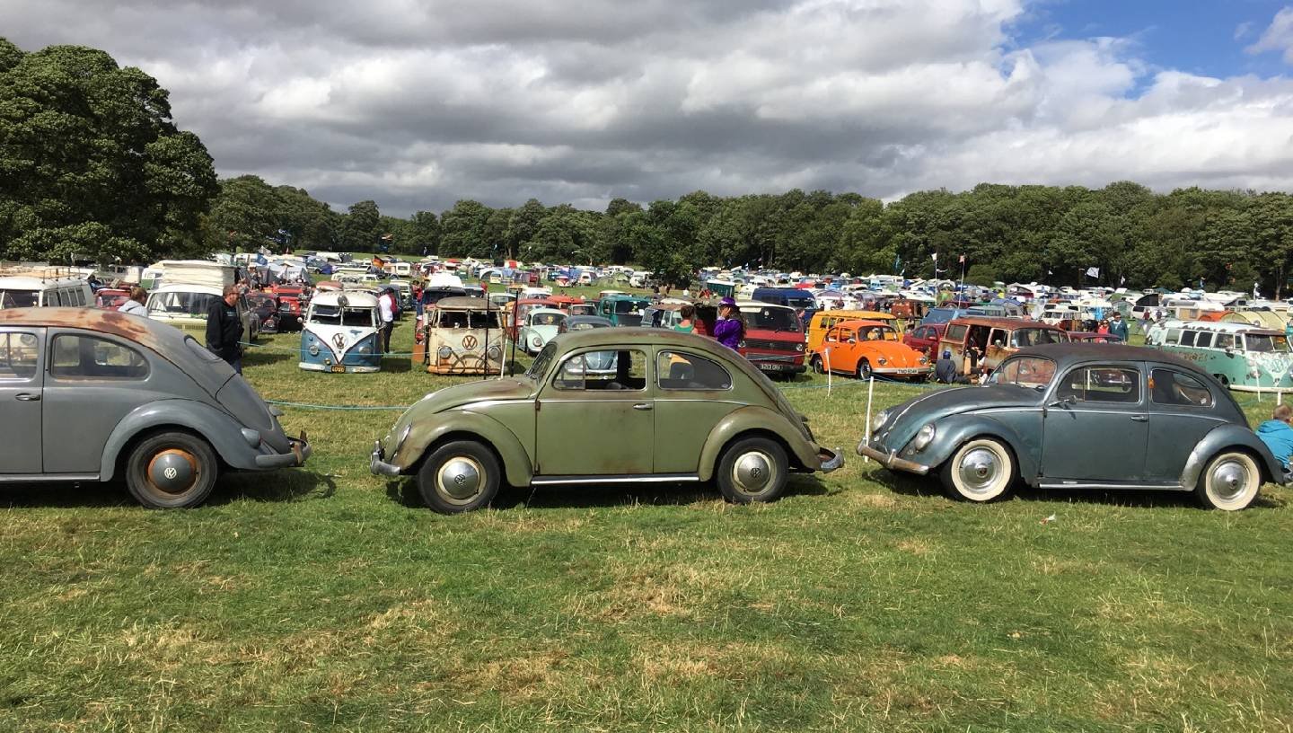 VIVA SKEG VEGAS CLASSIC VW SHOW