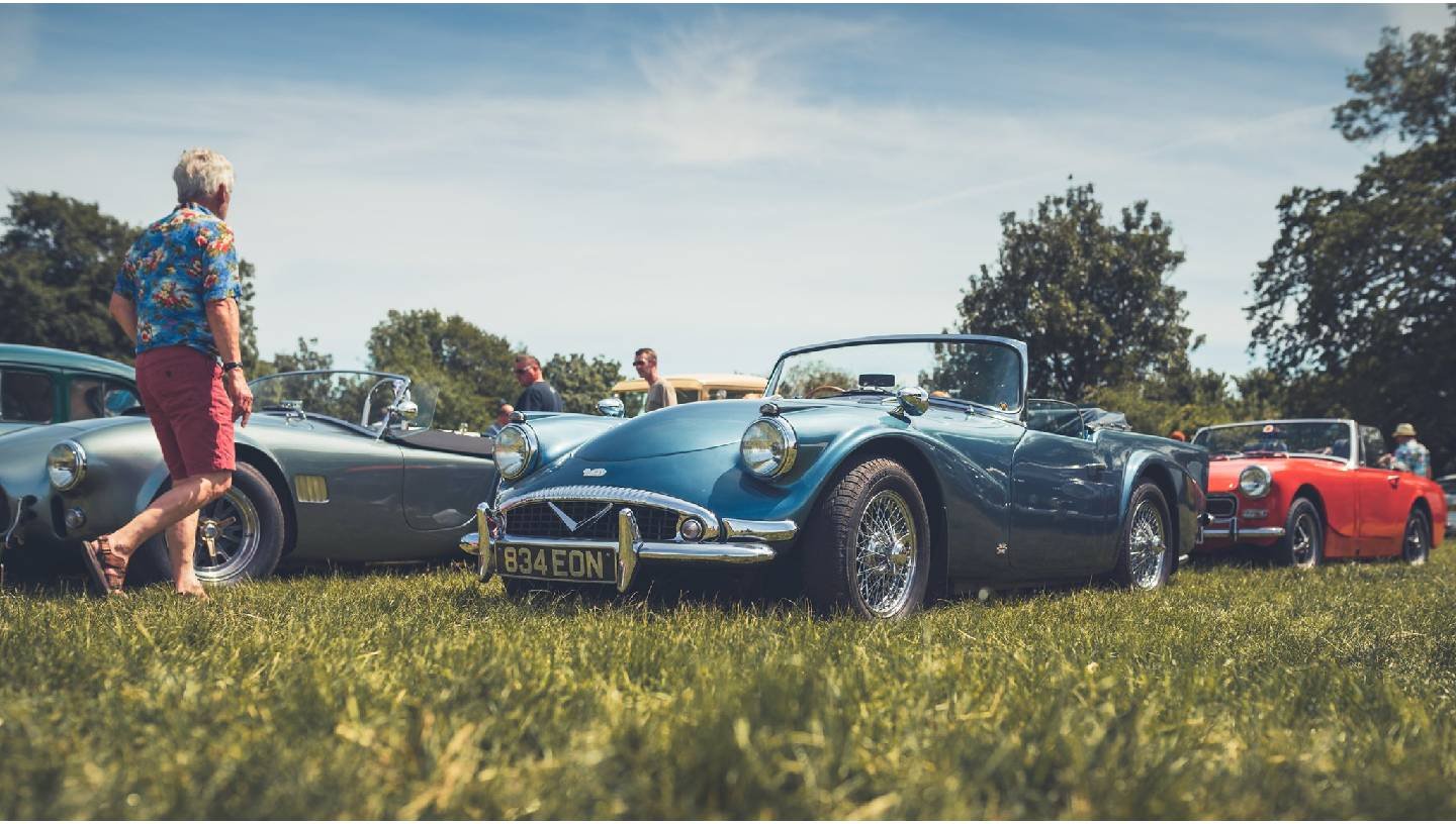 VINTAGE NOSTALGIA FESTIVAL