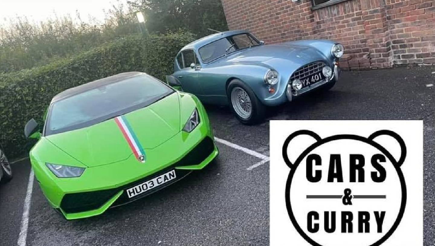 TEDDY BEAR CARS AND CURRY