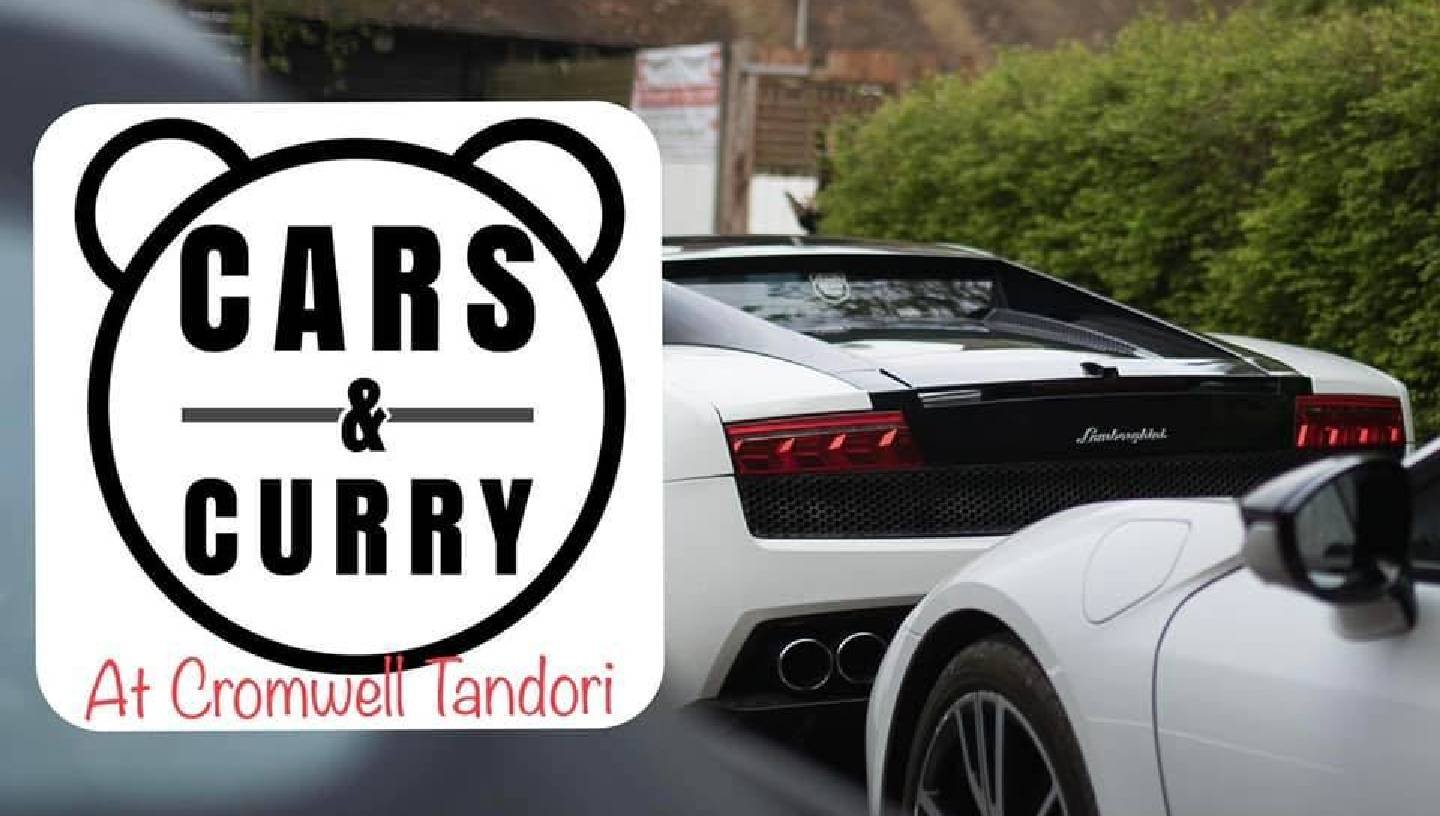 TEDDY BEAR CARS AND CURRY