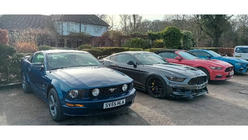 SURREY MUSTANG SHOW AND SHINE