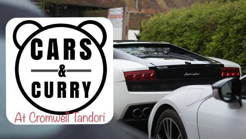 TEDDY BEAR CARS AND CURRY