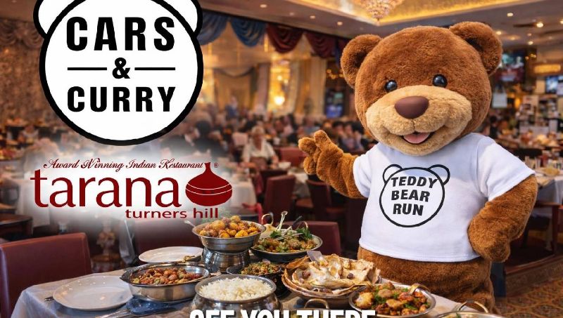 TEDDY BEAR CARS AND CURRY