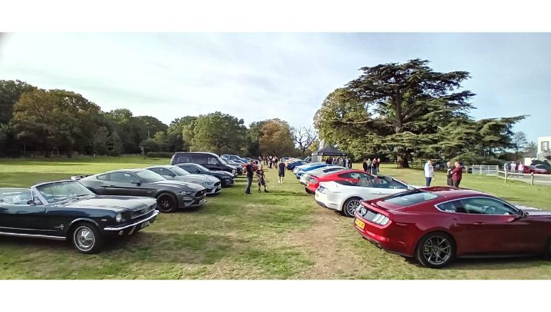 SURREY MUSTANG SHOW AND SHINE